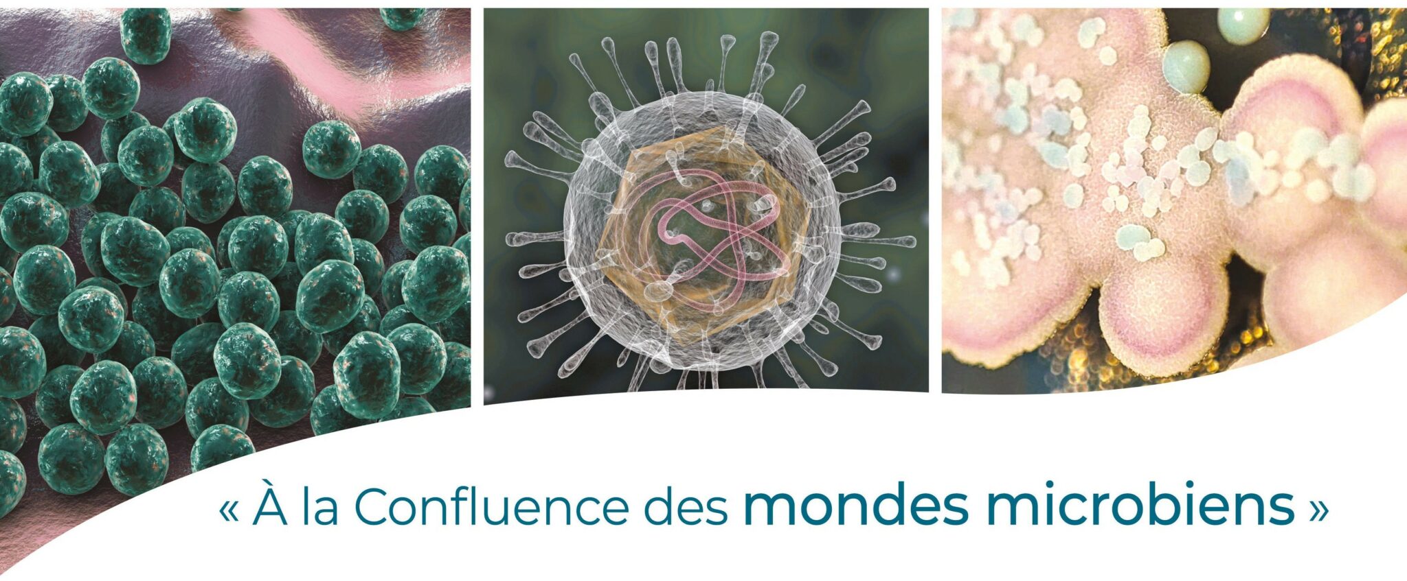 antibioest actualites affiche sfm rognée