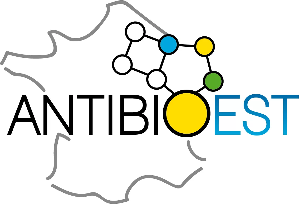 antibioest newsletter logo sans slogan couleur 