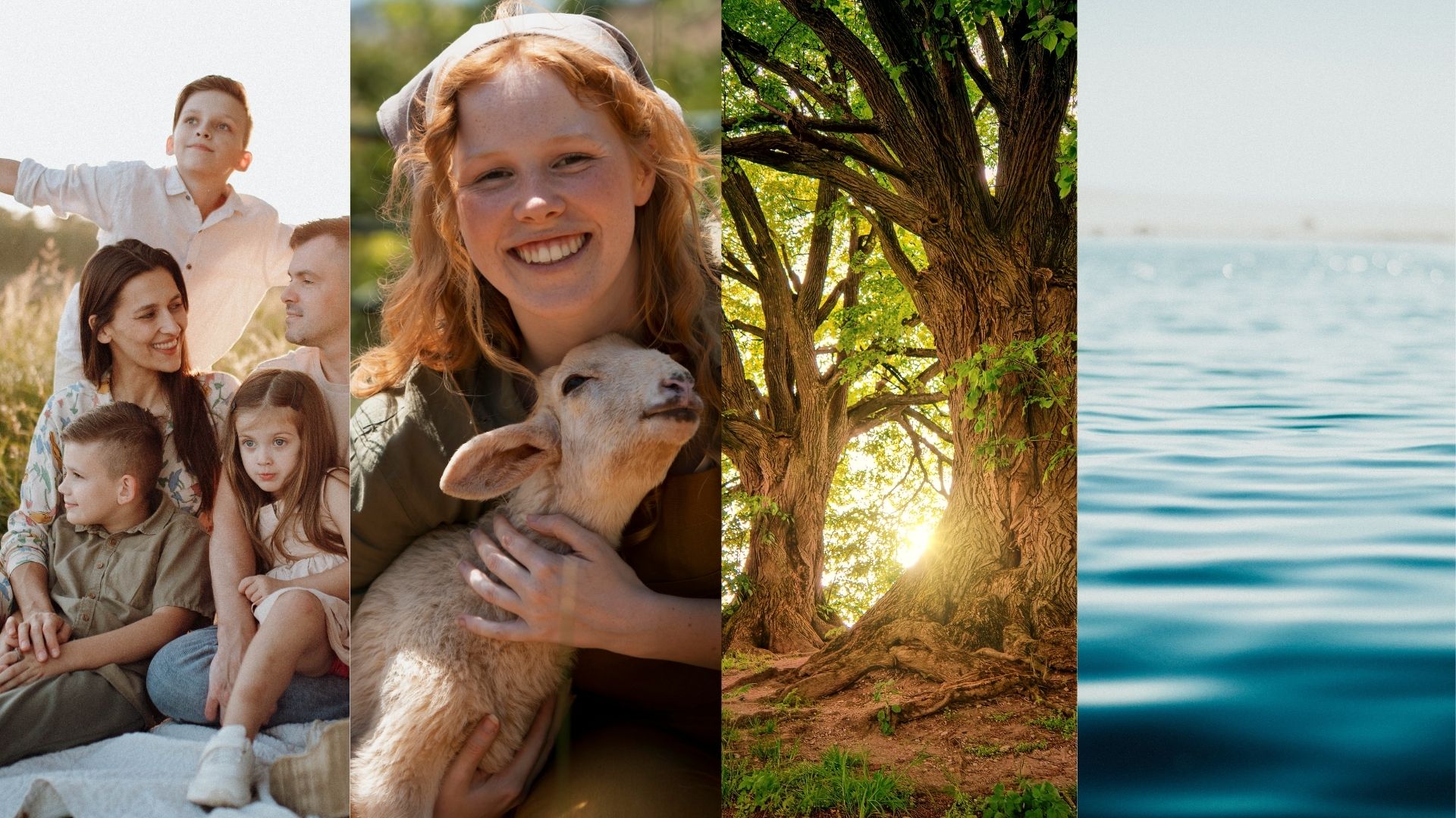 antibioest nl banniere one health