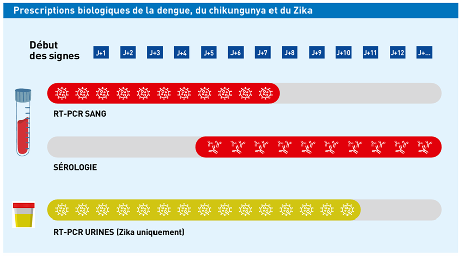 Testez vos connaissances sur l'antibiothérapie en cas d'arbovirose 3 AntibioEst antibioest nl prescriptions biologiques dengue, chikungunya, zika