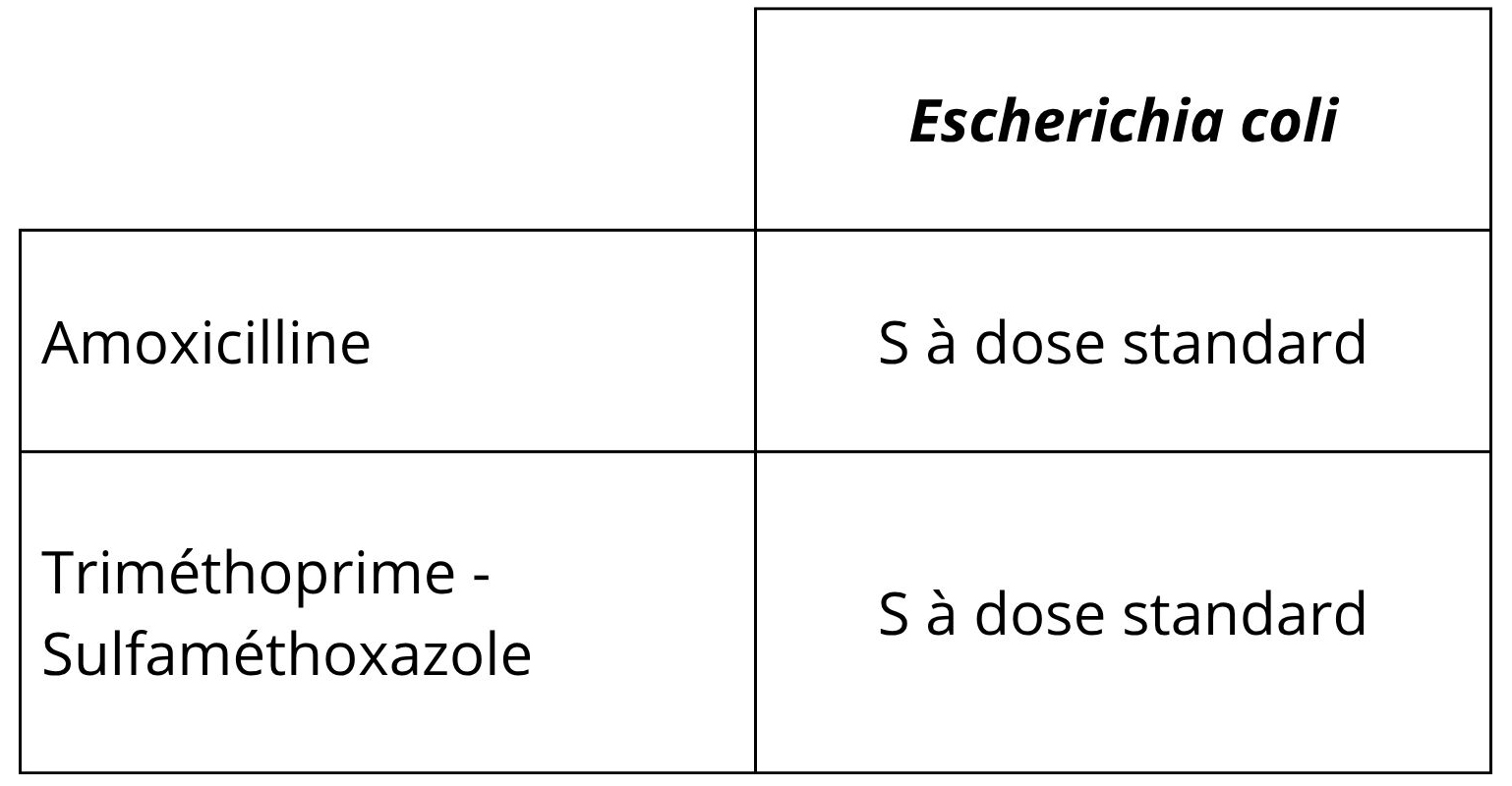 amoxicilline 