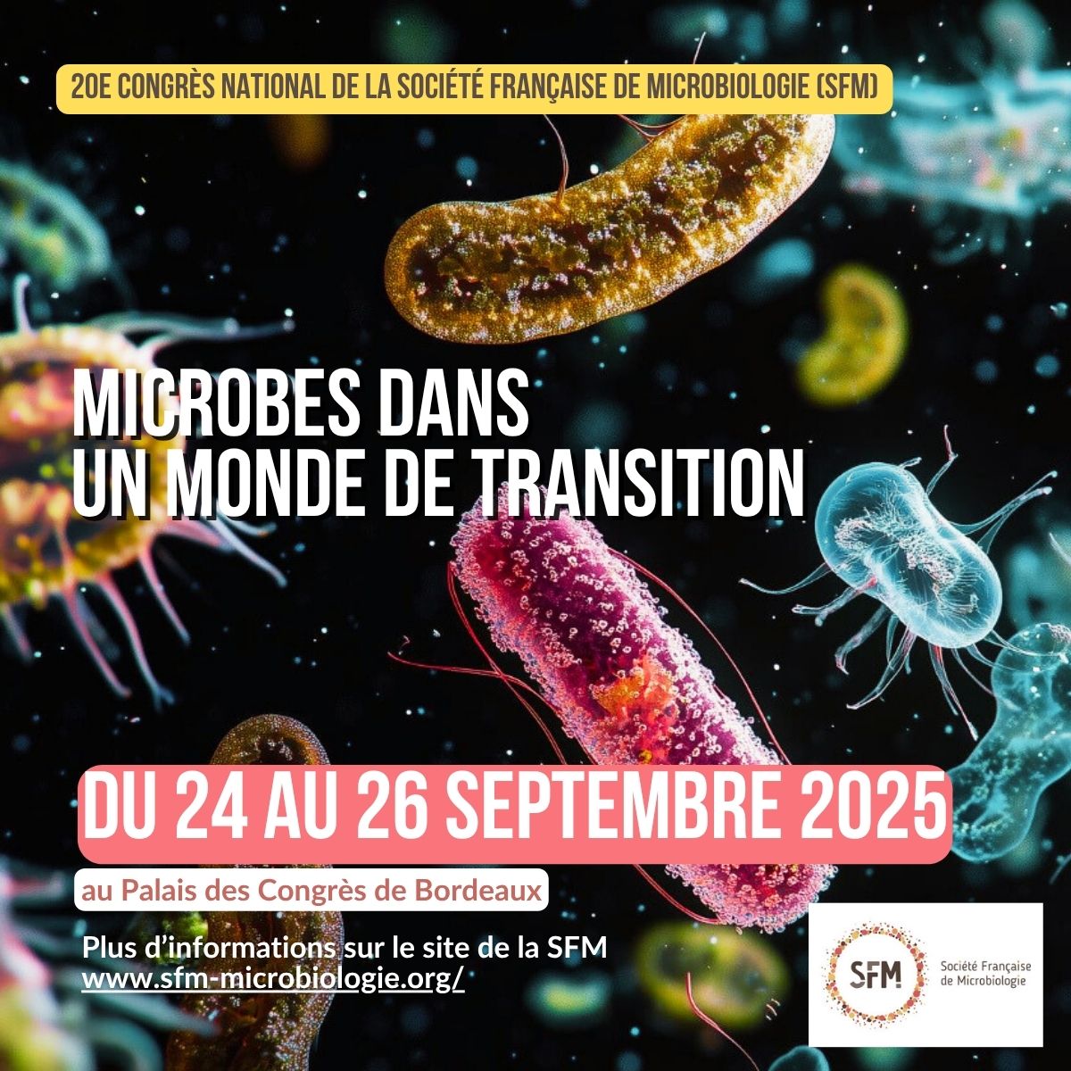 antibioest nl microbes dans un monde de transition au 