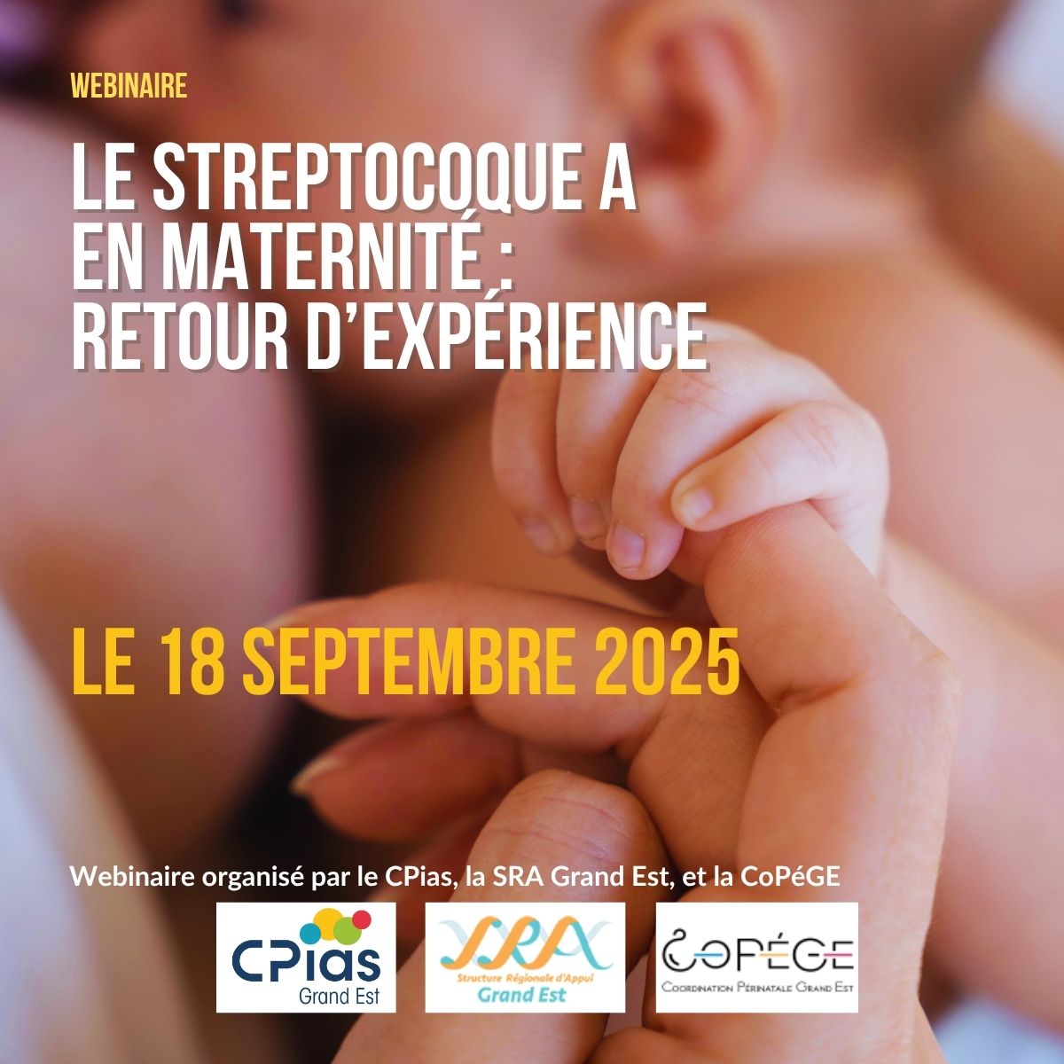 antibioest nl webinaire streptocoque maternité 