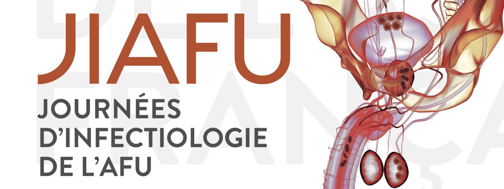 antibioest nl jiafu programme recadré