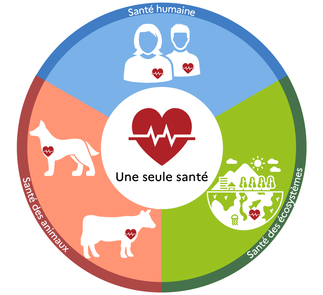 antibioest nl infographie uneseulesante 