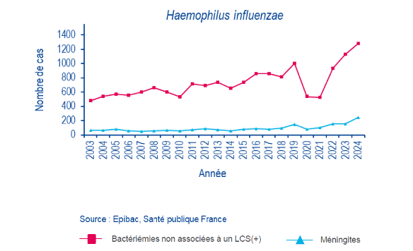 antibioest nl haemophilus influenzae 