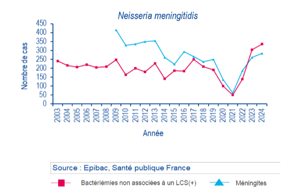 antibioest nl neisseria meningitidis 