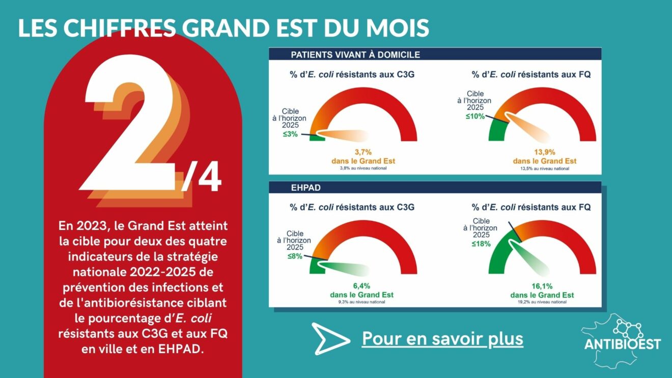 antibioest nl les chiffres grand est du mois de décembre ok 