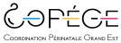 Webinaire | Le streptocoque A en maternité : Retour d'expérience 9 AntibioEst antibioest partenaires logo copége