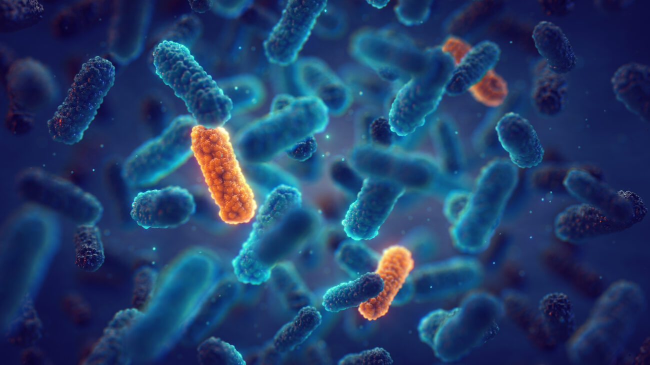 antimicrobial resistance amr occurs when bacteria change over
