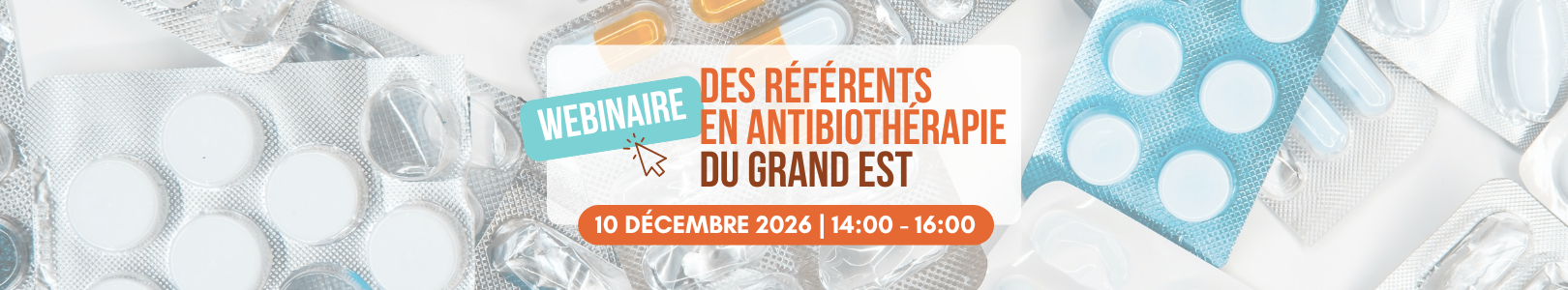 antibioest webinaire des referents atb du grand est bannière webinaire annuel référents