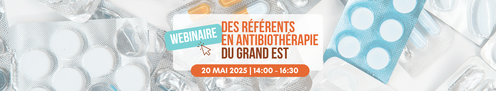 antibioest webinaire des referents atb du grand est save the date webinaire annuel référents